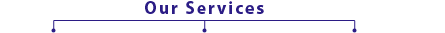 Our Services